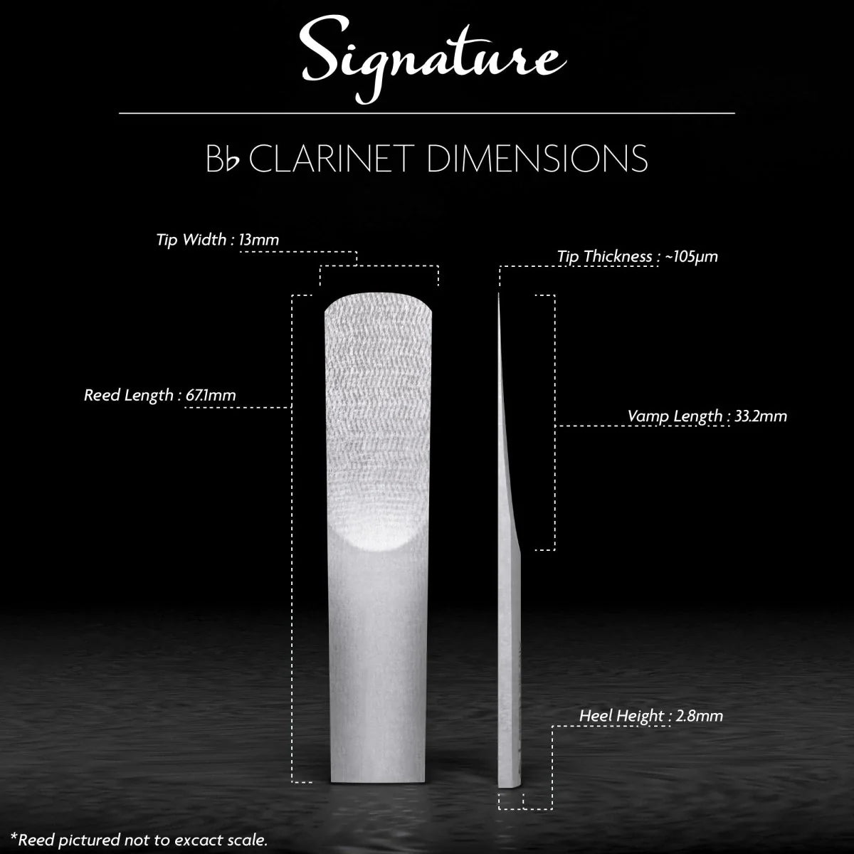 Légère Signature Bb Clarinet Reeds - Reeds For Less