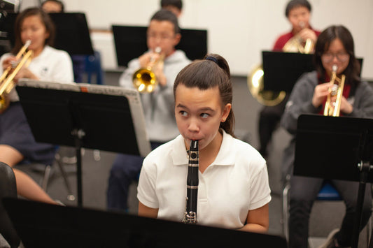 clarinet maintenance  how to take care of a clarinet  cleaning a clarinet step by step  woodwind instrument maintenance  clarinet pad care  prevent clarinet cracks
