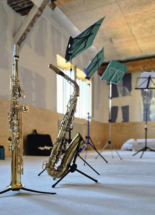 Soprano and alto saxophone