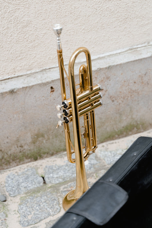 trumpet near case