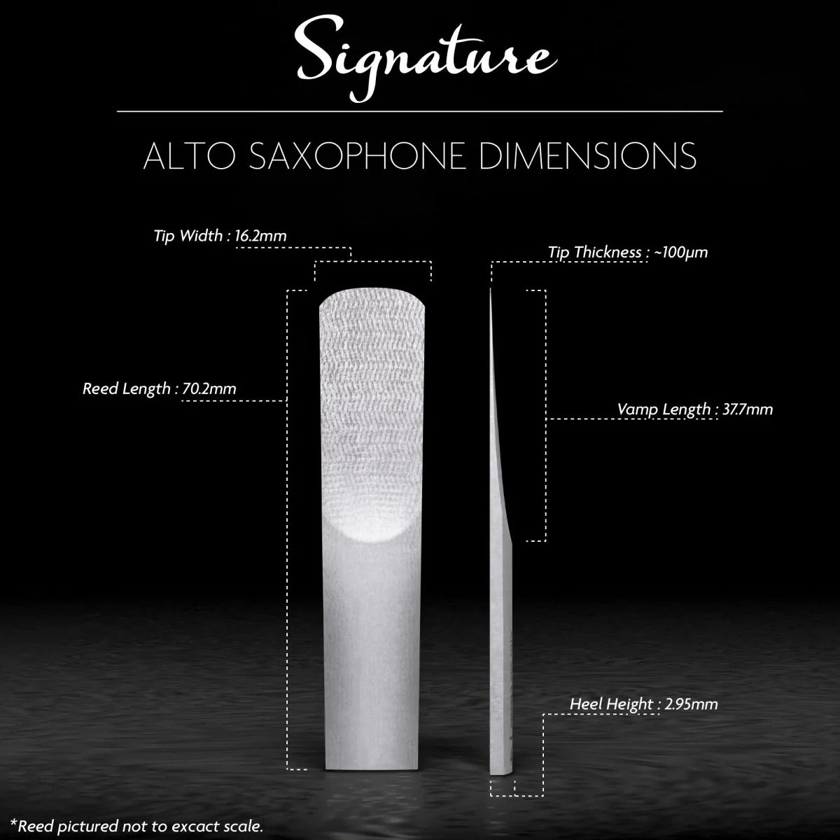 Légère Signature Bari Saxophone Reed - Reeds For Less