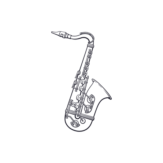 Alto Sax Care Kit
